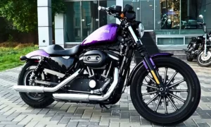 Harley Davidson Problems